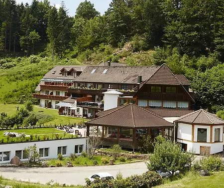 Kaeppelehof Hotel 4*