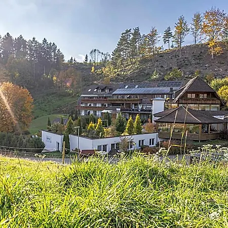 Kaeppelehof Hotel Lauterbach (Baden-Wurttemberg)