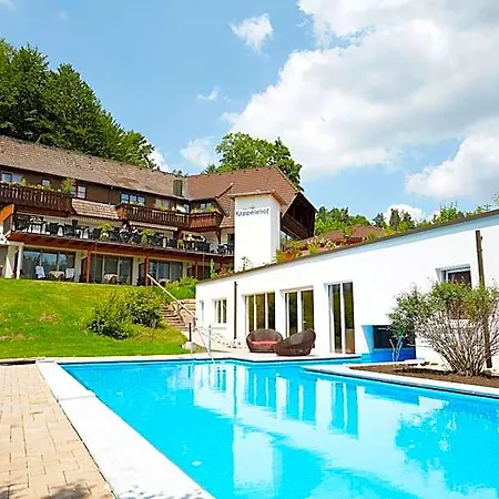 Hotel Kaeppelehof Lauterbach (Baden-Wurttemberg)